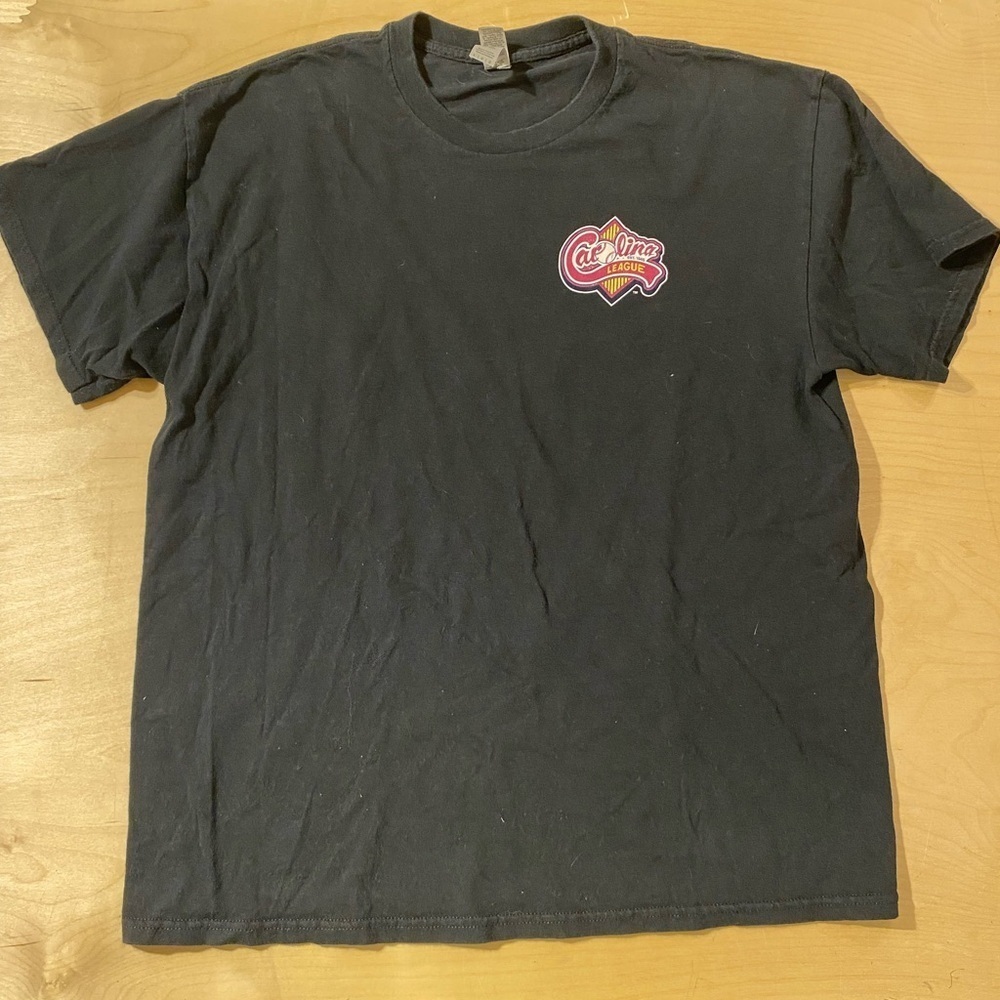 Gildan Black Tee Down East Wood Ducks Large (OE)